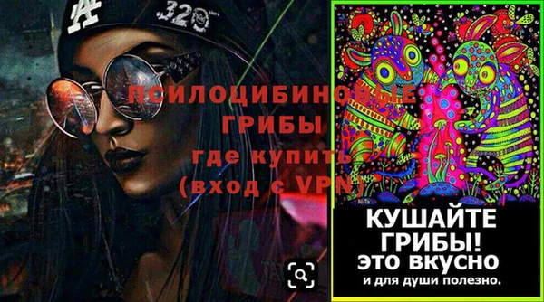 бошки Магас