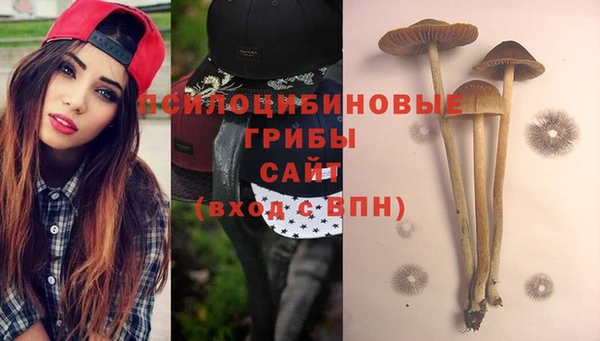 гидропоника Майский