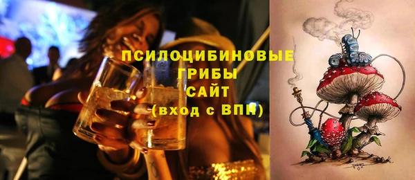 бошки Магас
