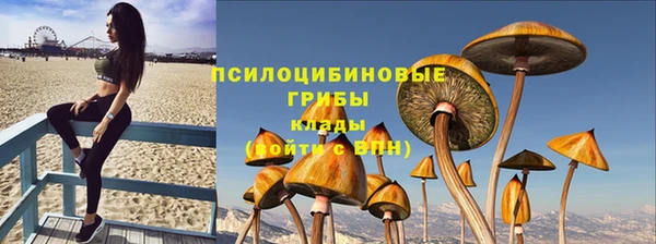 бошки Магас