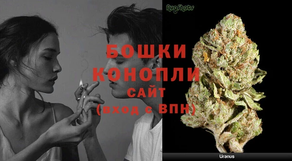 бошки Магас