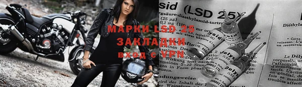 эйфоретик Магадан