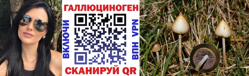 Псилоцибиновые грибы Magic Shrooms Ртищево